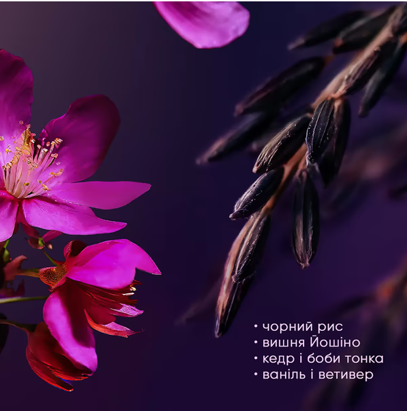 Набір подарунковий Rituals The Ritual Of Yozakura A Love Affair 2-step routine 00-00027433 фото