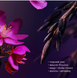 Набір подарунковий Rituals The Ritual Of Yozakura A Love Affair 2-step routine 00-00027433 фото 5