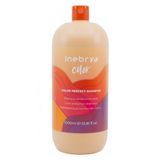 Шампунь для окрашенных волос Inebrya Color Perfect Shampoo 1000 мл 00-00021368 фото