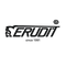Ерудит