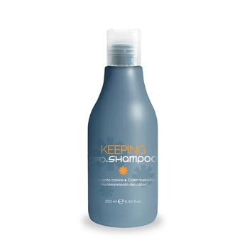Шампунь для фарбованого волосся Pro.Color Keeping Shampoo 250 мл 00-00021291 фото